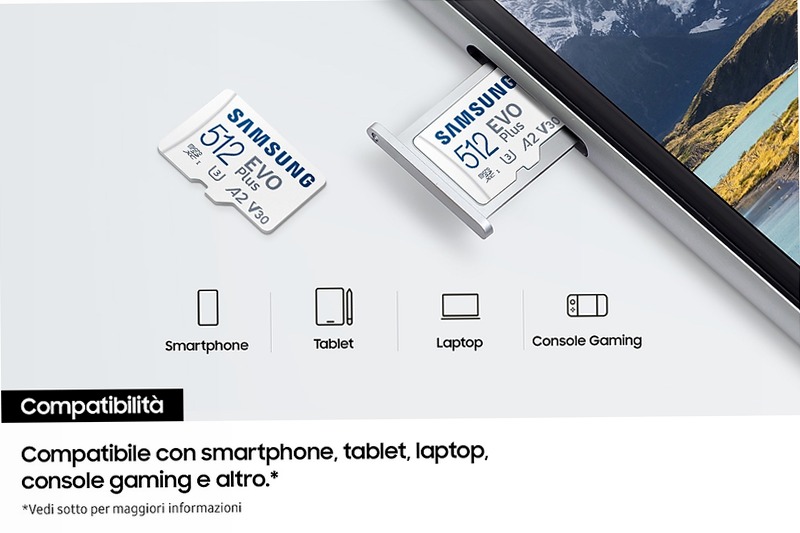 EVO Plus microSD 256GB - Velocità e Affidabilità