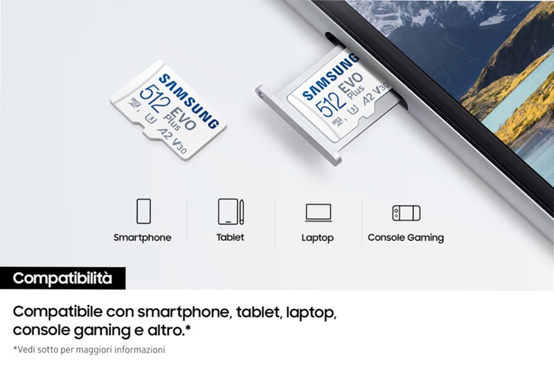EVO Plus microSD Memory Card 256GB