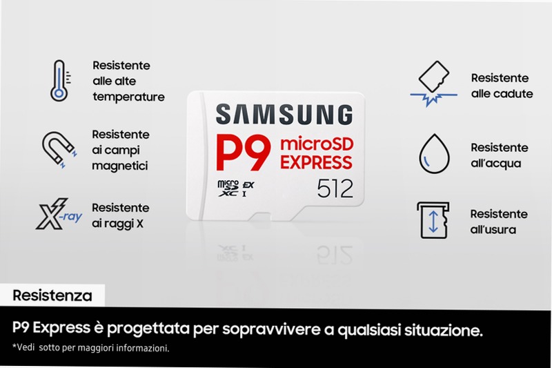 P9 Express microSD Memory Card 256 GB 256GB