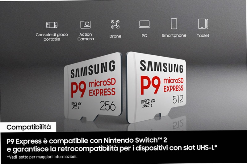 P9 Express microSD Memory Card 256 GB 256GB