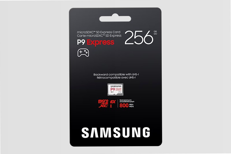 P9 Express microSD Memory Card 256 GB 256GB