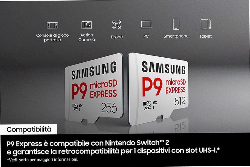 P9 Express microSD Memory Card 256 GB 256GB