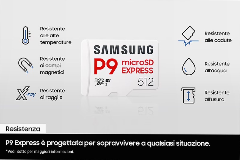 P9 Express microSD Memory Card 256 GB 256GB