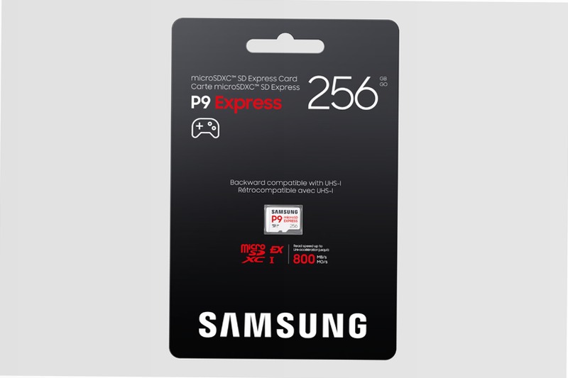 P9 Express microSD Memory Card 256 GB 256GB