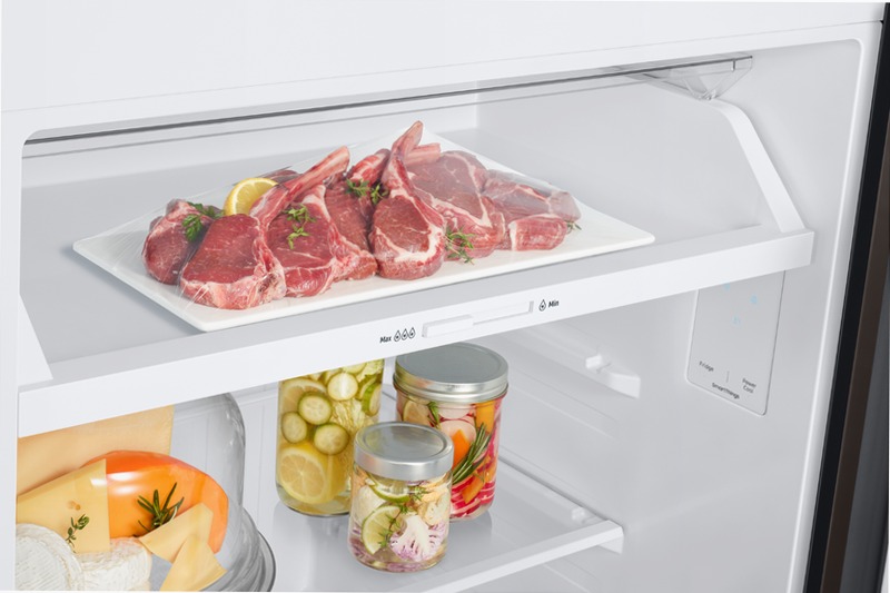 RT6300C Top Mount Freezer Refrigerator - Bespoke Design E 393lt