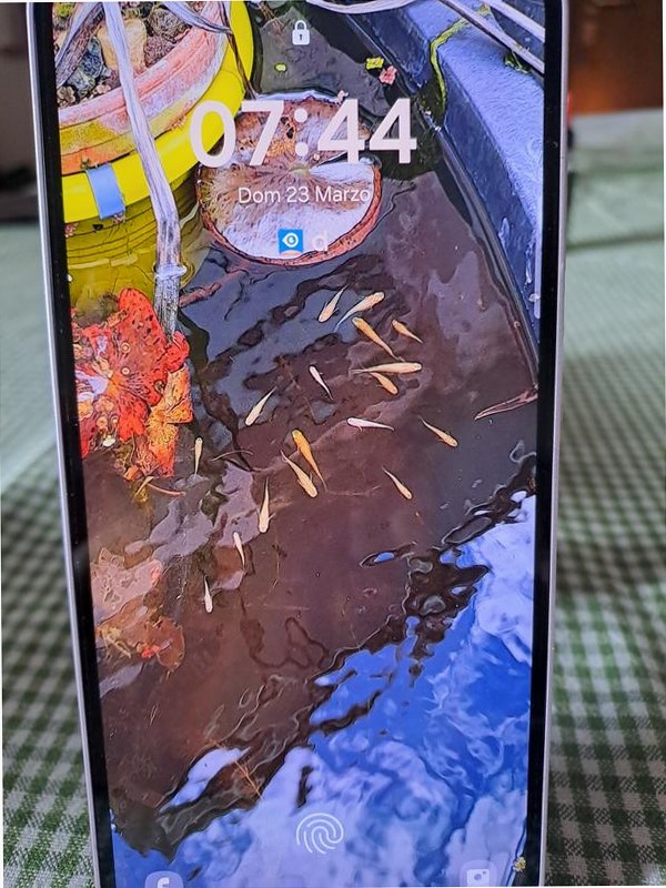 Galaxy A35 5G - Stile Moderno e Fotocellulare 8GB
