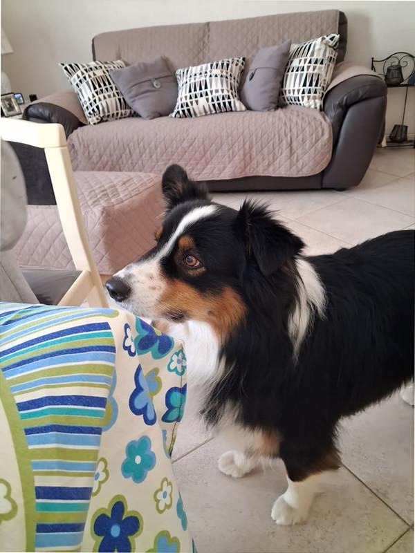 SAMSUNG | Samsung Italia