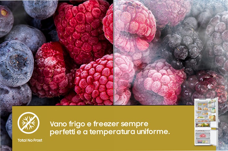 Frigorifero Combinato Samsung F1RST E