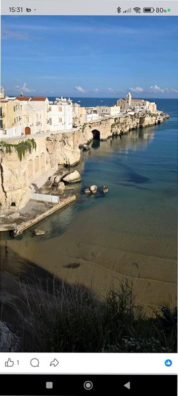 Galaxy A16 - Display Super AMOLED & Tripla Fotocamera 6.7" 4GB Nero