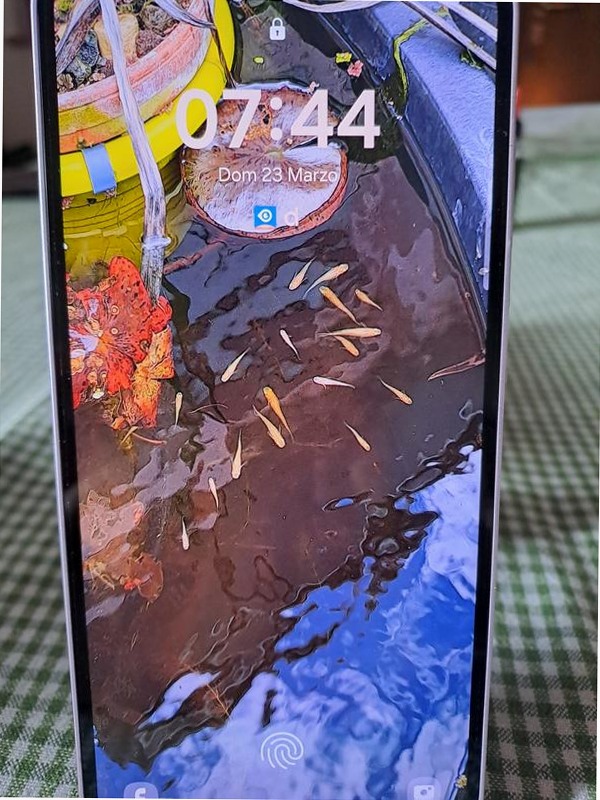 Galaxy A35 5G - Stile Moderno e Fotocellulare 8GB Blu