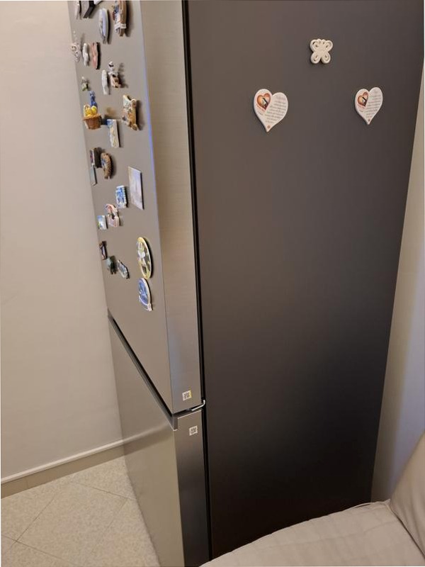Frigorifero Combinato Samsung FIRST 75 AI Inox D