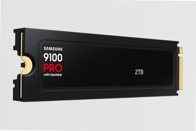 9100 PRO NVMe con dissipatore di calore - Prestazioni ultrà veloci PCIe 5.0