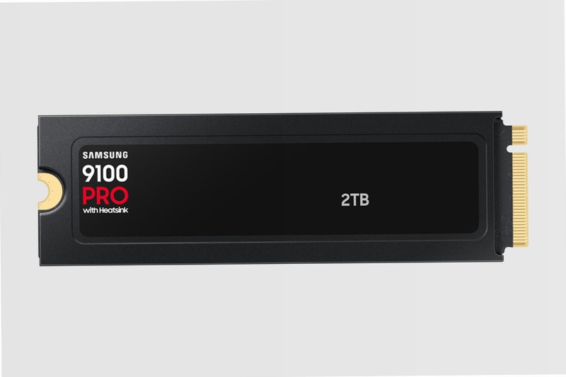 9100 PRO NVMe con dissipatore di calore - Prestazioni ultrà veloci PCIe 5.0