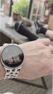 Galaxy Watch8 (LTE, 44 mm)