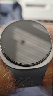 Galaxy Watch8 (LTE, 44 mm)