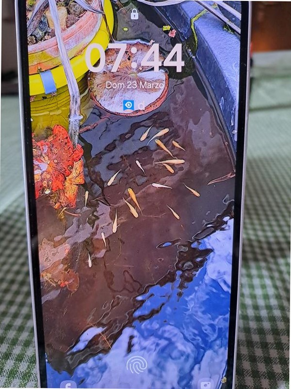 Galaxy A35 5G - Stile Moderno e Fotocellulare 8GB Blu