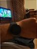 Galaxy Watch8 (LTE, 44 mm)