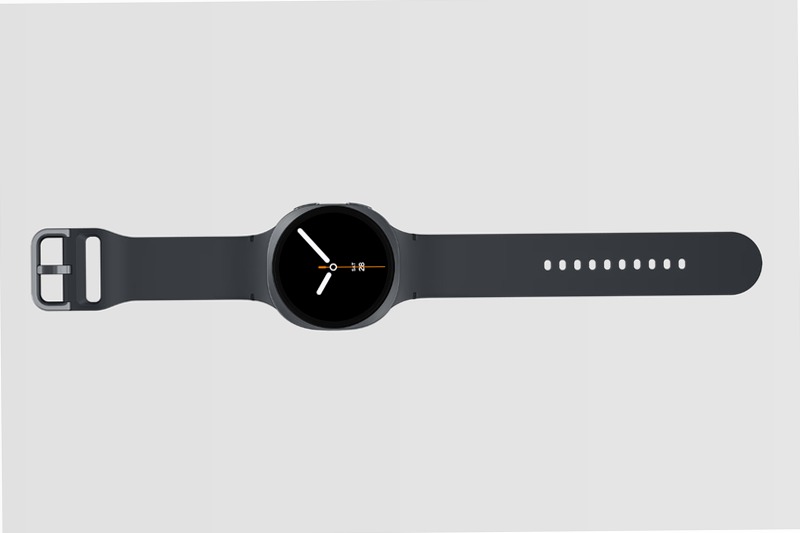 Galaxy Watch8 (LTE, 44 mm)