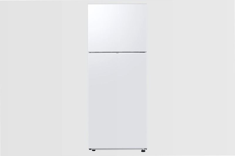 RT6300C Top Mount Freezer Refrigerators E