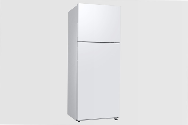 RT6300C Top Mount Freezer Refrigerators E