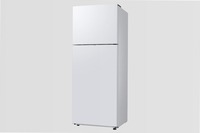 RT6300C Top Mount Freezer Refrigerators E