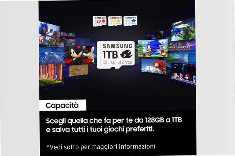 Sonic PRO Plus microSD 1TB - Velocità e Spazio per i Tuoi Giochi