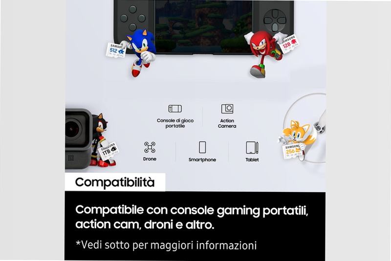 Sonic PRO Plus microSD 1TB - Velocità e Spazio per i Tuoi Giochi