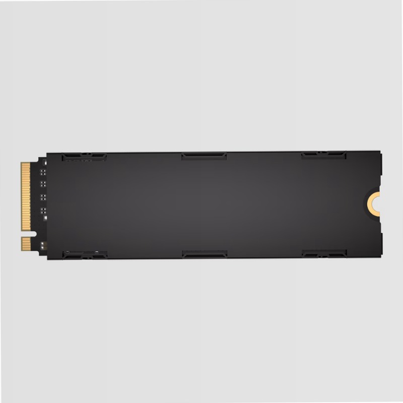 SSD M.2 NVMe 2.0 PCIe Gen5 x4 MP700 PRO da 1 TB