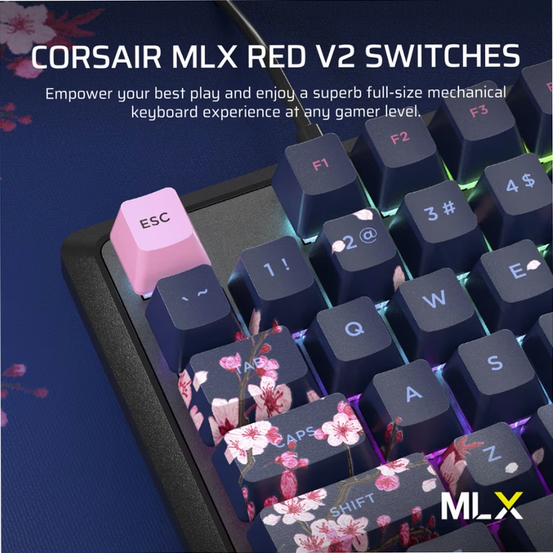 Tastiera Gaming K70 Core SE RGB - Dark Cherry Blossom Meccanica