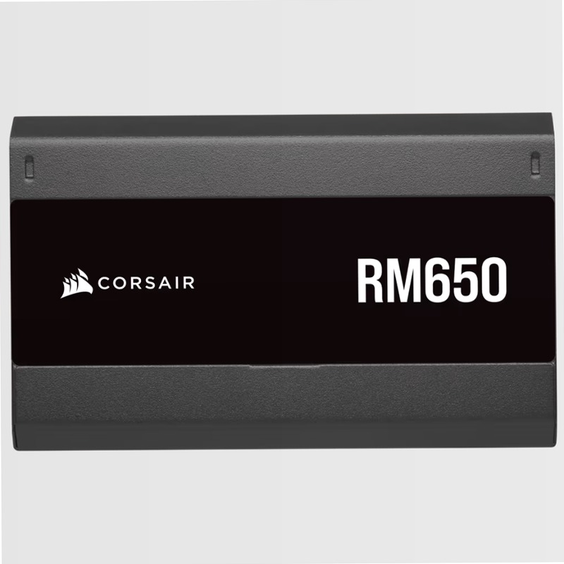Alimentatore ATX RM650 Modulare da 650 Watt 80 Plus Gold 650w