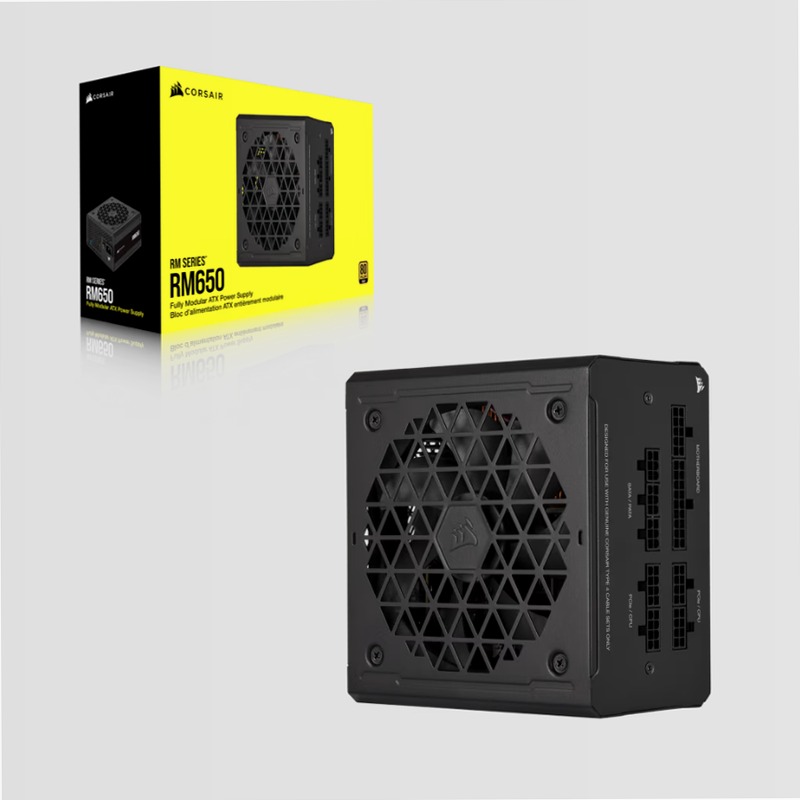 Alimentatore ATX RM650 Modulare da 650 Watt 80 Plus Gold 650w