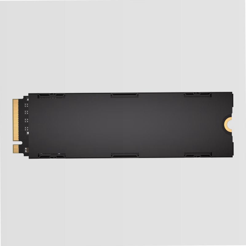 SSD M.2 NVMe 2.0 PCIe Gen5 x4 MP700 PRO da 2 TB