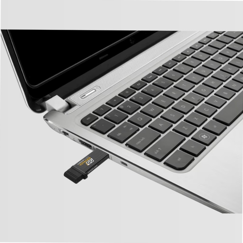 Unità di archiviazione Flash Voyager® GO