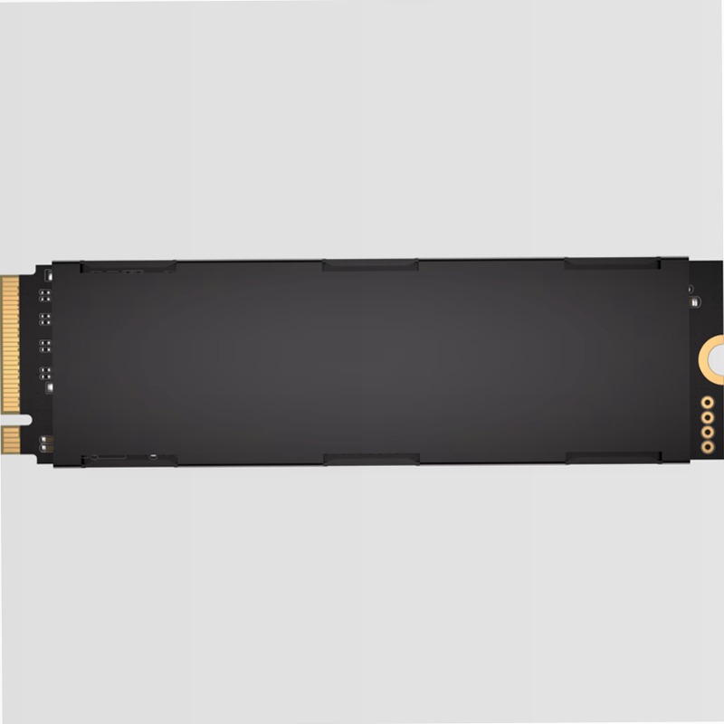 SSD M.2 NVMe PCIe 5.0 x4 MP700 PRO SE Hydro X Series da 4 TB