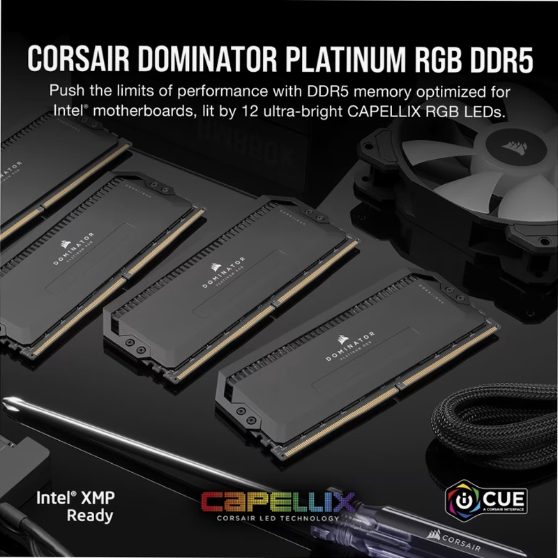 CORSAIR DOMINATOR PLATINUM RGB 64GB