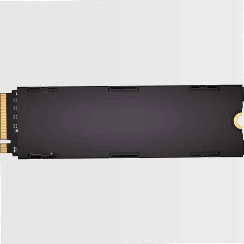 SSD M.2 NVMe PCIe 5.0 x4 MP700 PRO SE da 2 TB
