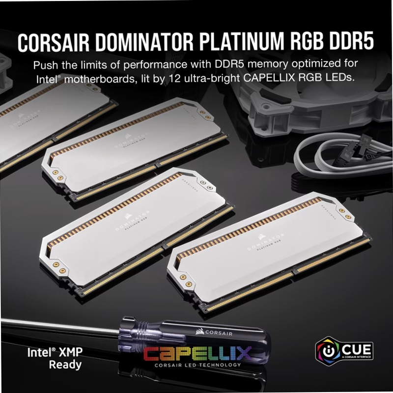 CORSAIR DOMINATOR PLATINUM RGB 64GB