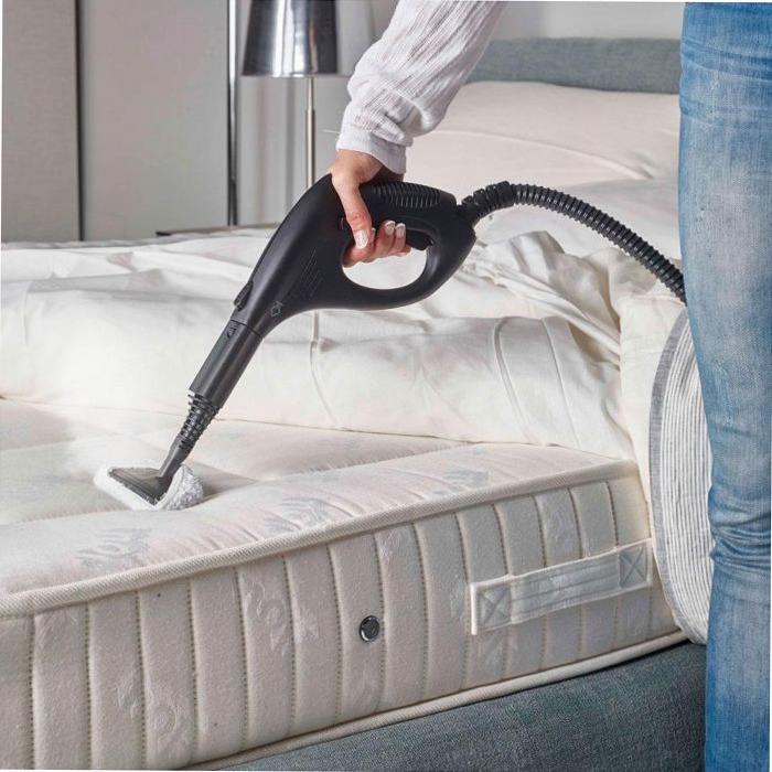 Polti Vaporetto Smart 30_S