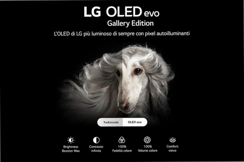 TV OLED Gallery Edition 55" HD