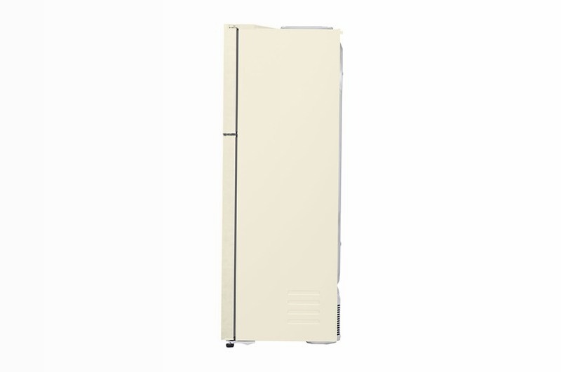 Frigorifero Doppia Porta LG GTF916SEPYD Beige E 592lt