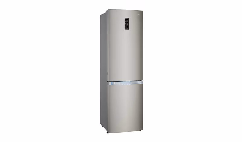 Frigorifero Combinato LG GBB930DNQZN Nero A 394lt