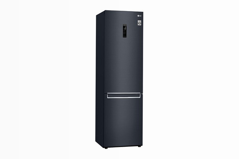 LG Frigorifero Combinato D Class 384lt