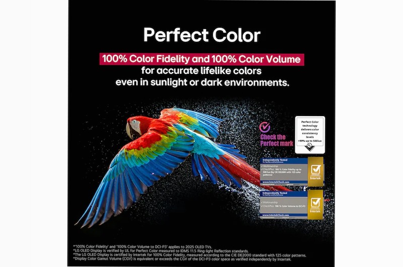 TV OLED LG C5 48 pollici - Immersione Visiva e Audio HD