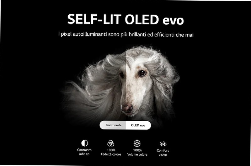 Smart TV OLED evo 48 pollici LG 48" 4K