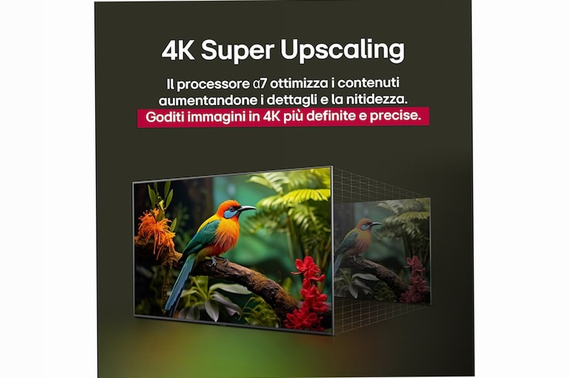 TV 55 pollici LG NanoCell AI NANO81 4K Smart TV 2025 - 55NANO81A6A | LG Italia