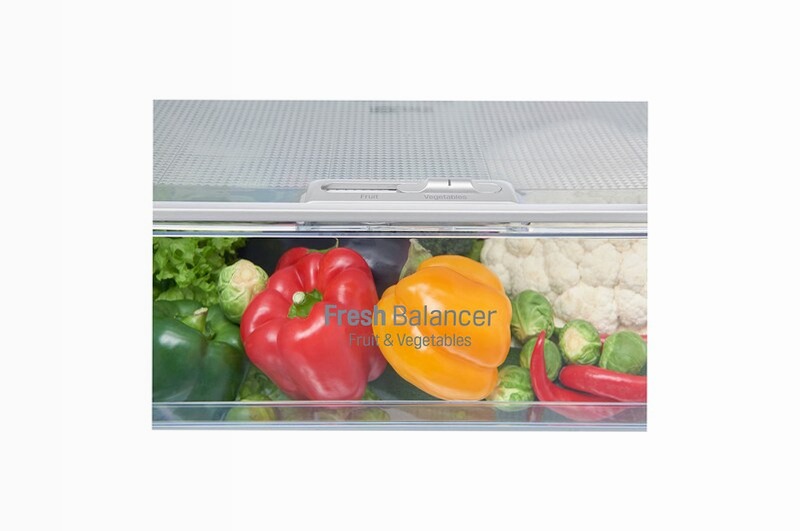 Frigorifero Combinato LG GBB59PZFFB Inox A