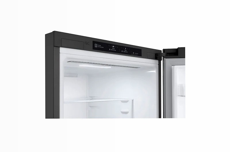 LG Frigorifero Smart Combinato D 384lt