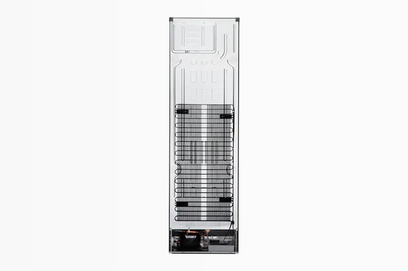 Frigorifero combinato LG GBP62DSXCC Ghiaccio C 384lt