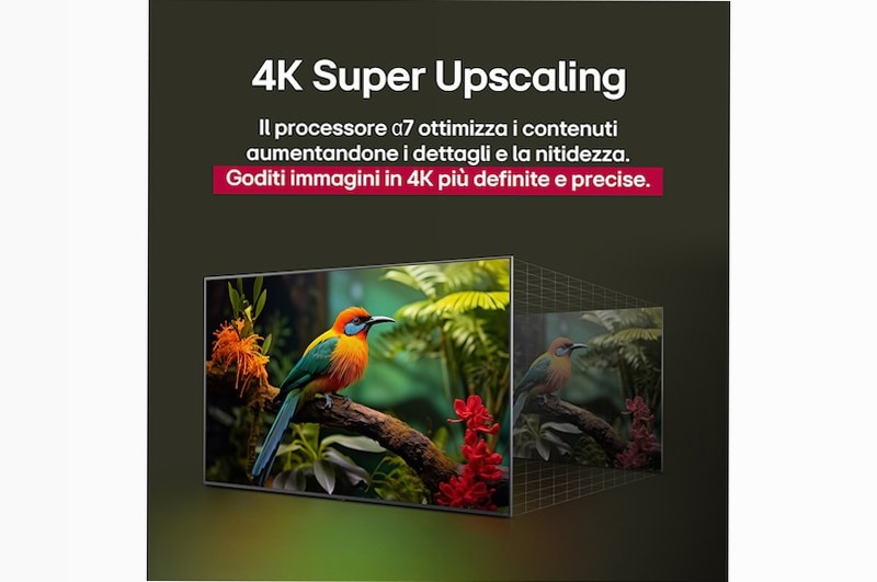 TV 65 pollici LG NanoCell AI NANO81 4K Smart TV 2025 - 65NANO81A6A | LG Italia