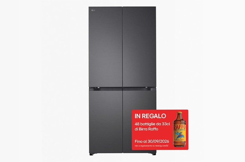 Frigorifero Multidoor Slim LG Classe D